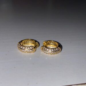 Elegant Gold Hoop Earrings